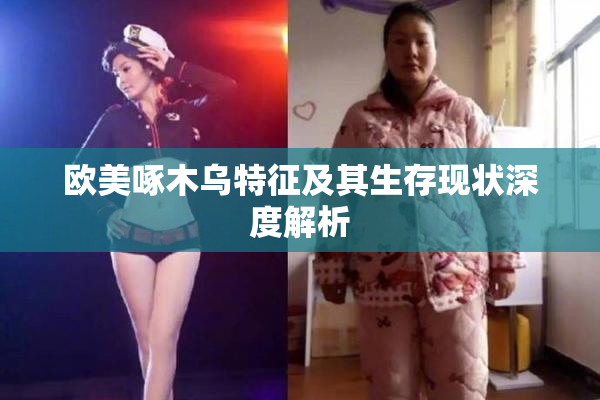 欧美啄木乌特征及其生存现状深度解析