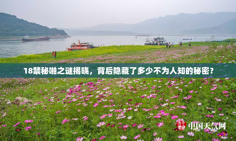 18禁秘啪之谜揭晓，背后隐藏了多少不为人知的秘密？