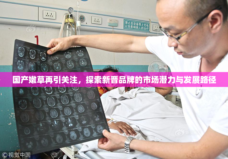 国产嫩草再引关注，探索新晋品牌的市场潜力与发展路径