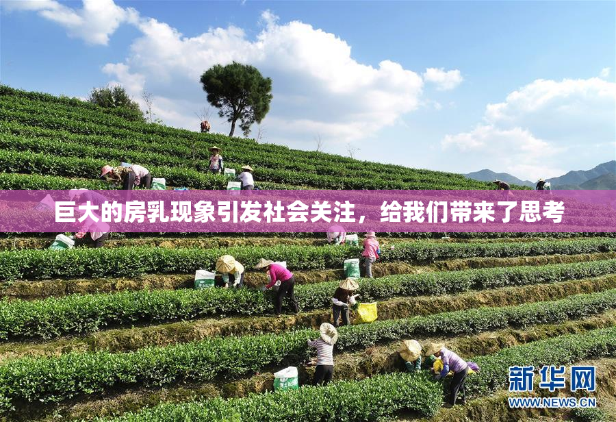 巨大的房乳现象引发社会关注，给我们带来了思考