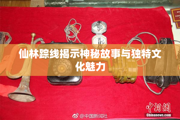 仙林踪线揭示神秘故事与独特文化魅力