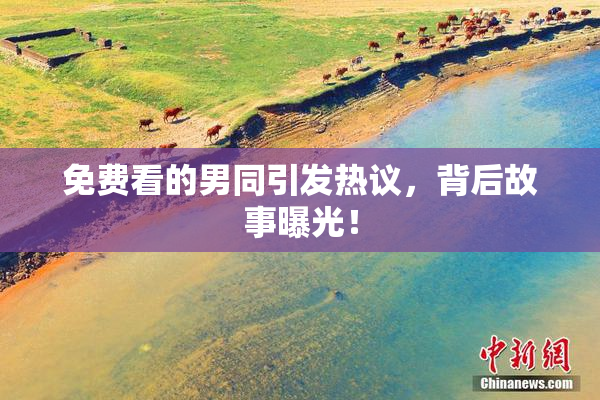 免费看的男同引发热议，背后故事曝光！