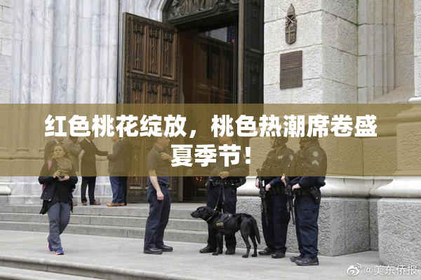 红色桃花绽放，桃色热潮席卷盛夏季节！