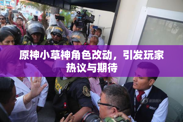 原神小草神角色改动，引发玩家热议与期待