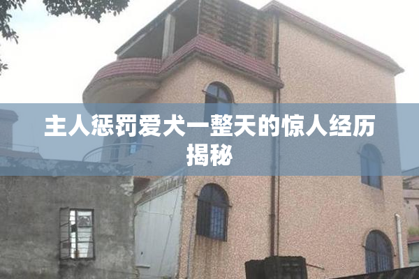 主人惩罚爱犬一整天的惊人经历揭秘