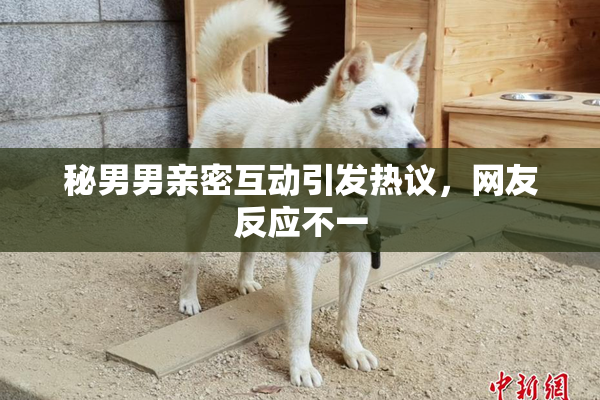 秘男男亲密互动引发热议，网友反应不一