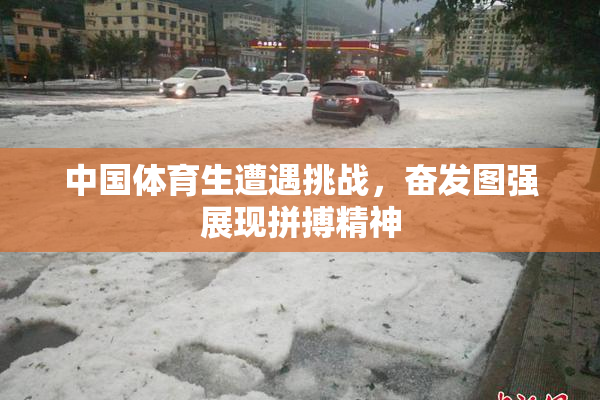 中国体育生遭遇挑战，奋发图强展现拼搏精神