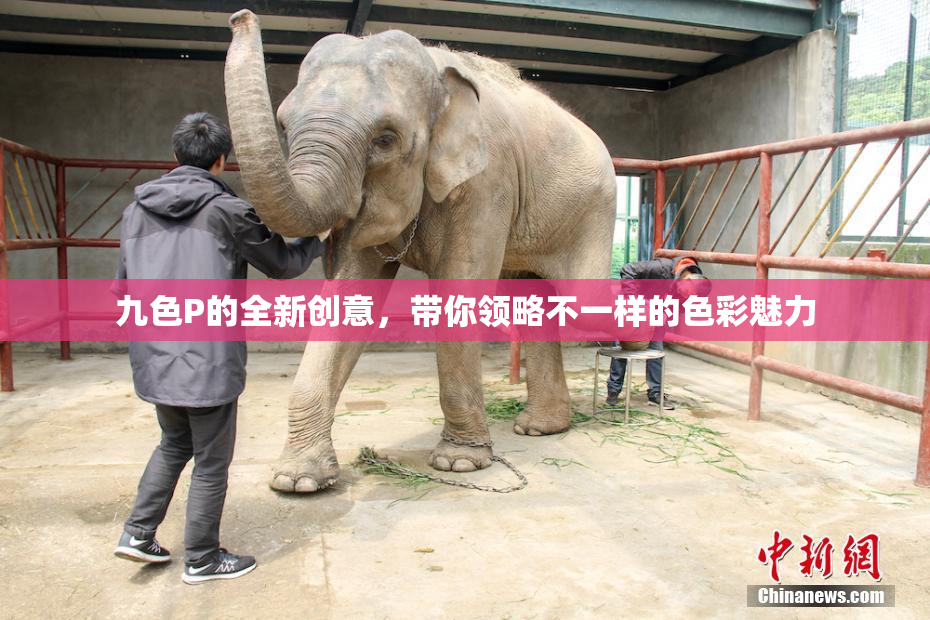九色P的全新创意，带你领略不一样的色彩魅力