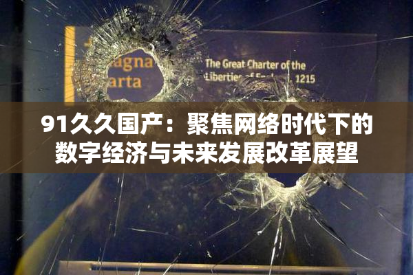 91久久国产：聚焦网络时代下的数字经济与未来发展改革展望