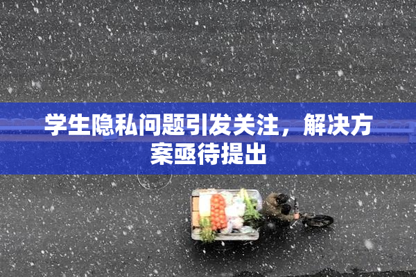 学生隐私问题引发关注，解决方案亟待提出