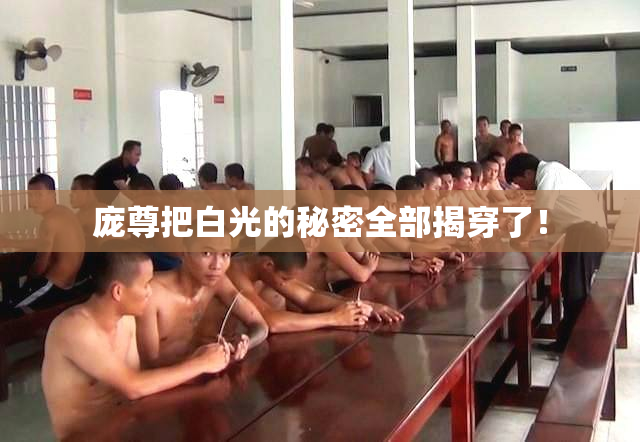 庞尊把白光的秘密全部揭穿了！