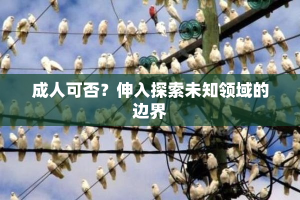 成人可否？伸入探索未知领域的边界