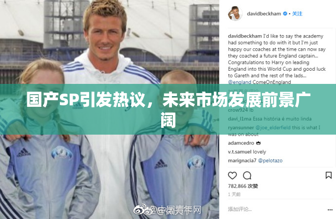 国产SP引发热议，未来市场发展前景广阔