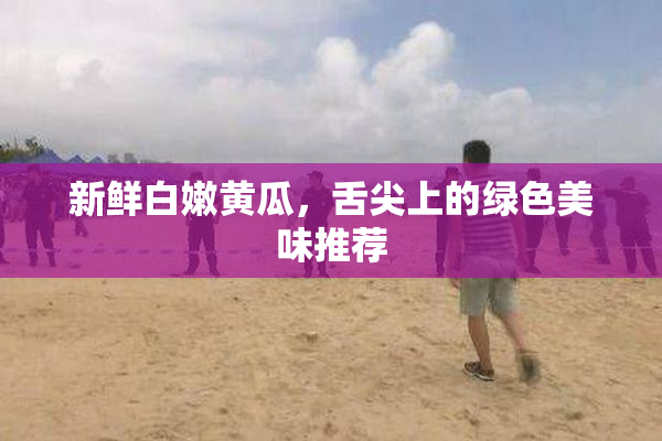 新鲜白嫩黄瓜，舌尖上的绿色美味推荐