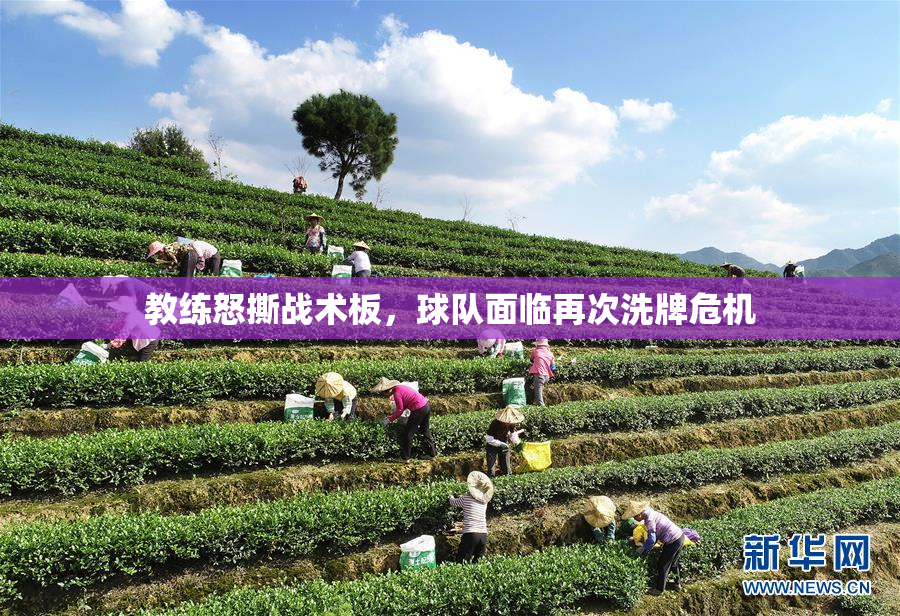 教练怒撕战术板，球队面临再次洗牌危机