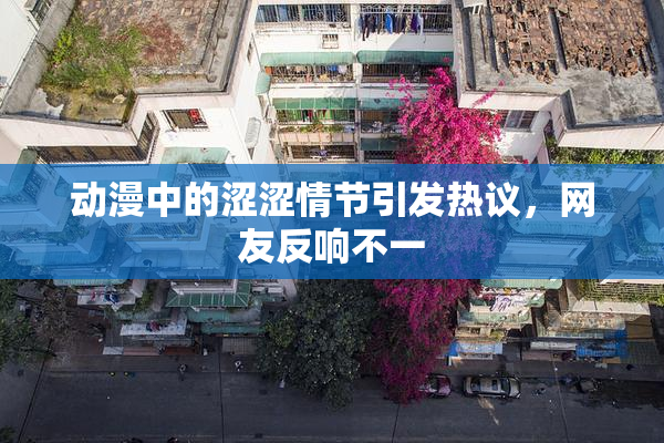 动漫中的涩涩情节引发热议，网友反响不一