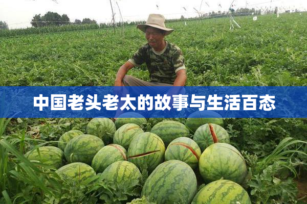 中国老头老太的故事与生活百态
