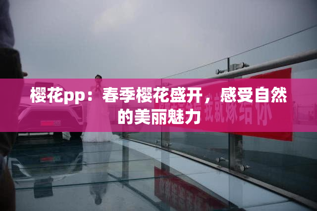 樱花pp：春季樱花盛开，感受自然的美丽魅力