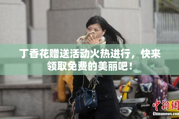 丁香花赠送活动火热进行，快来领取免费的美丽吧！