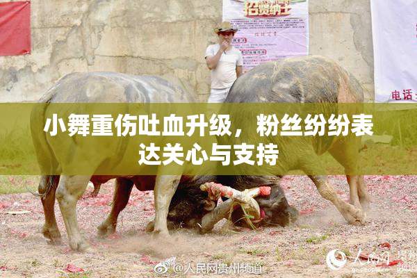 小舞重伤吐血升级，粉丝纷纷表达关心与支持