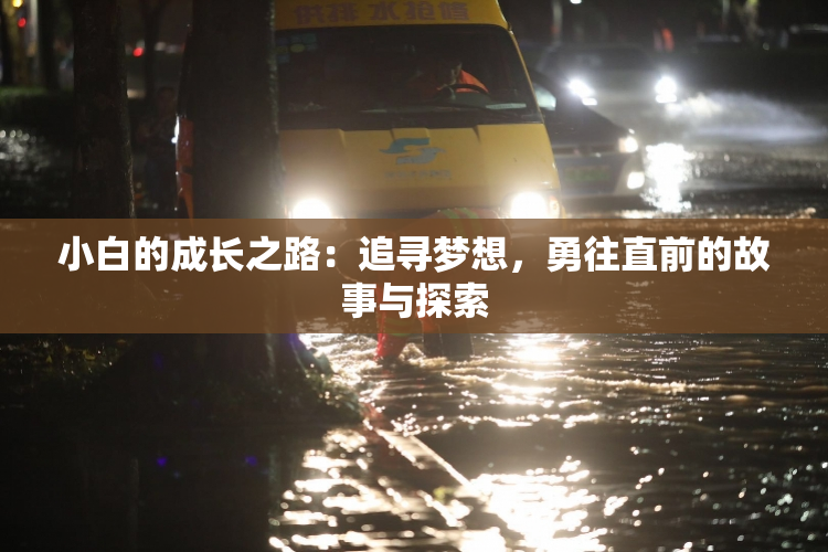 小白的成长之路：追寻梦想，勇往直前的故事与探索