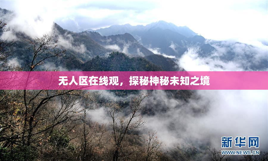 无人区在线观，探秘神秘未知之境