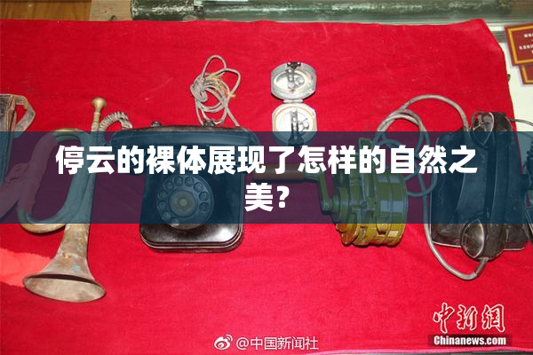 停云的裸体展现了怎样的自然之美？