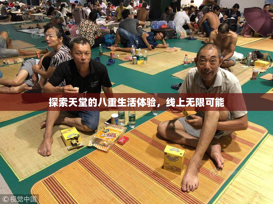 探索天堂的八重生活体验，线上无限可能