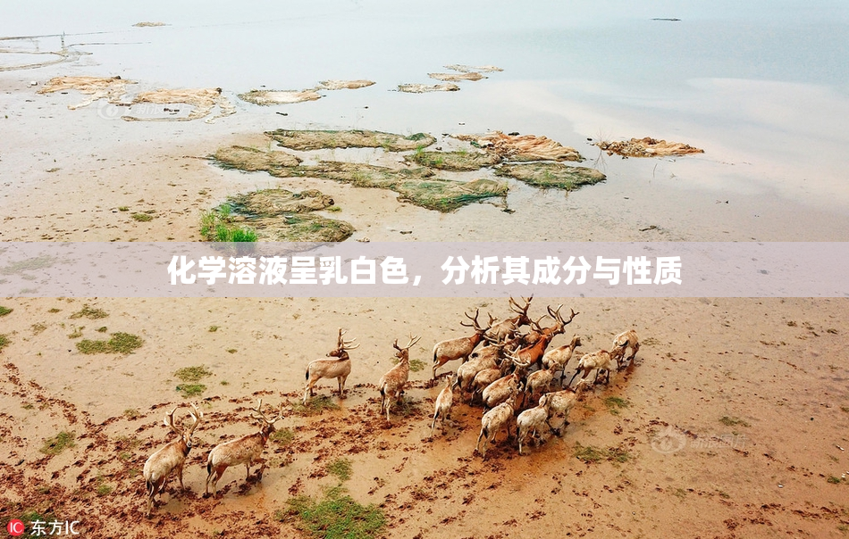 化学溶液呈乳白色，分析其成分与性质
