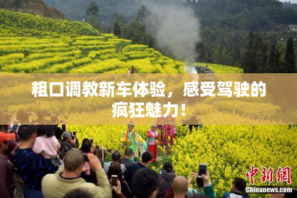 粗口调教新车体验，感受驾驶的疯狂魅力！