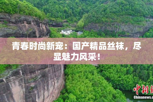 青春时尚新宠：国产精品丝袜，尽显魅力风采！