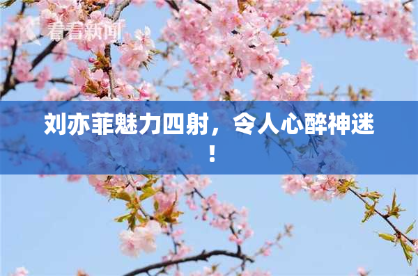 刘亦菲魅力四射，令人心醉神迷！