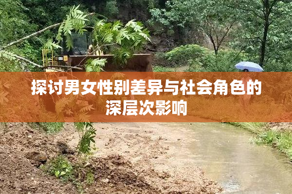 探讨男女性别差异与社会角色的深层次影响