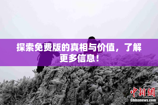 探索免费版的真相与价值，了解更多信息！
