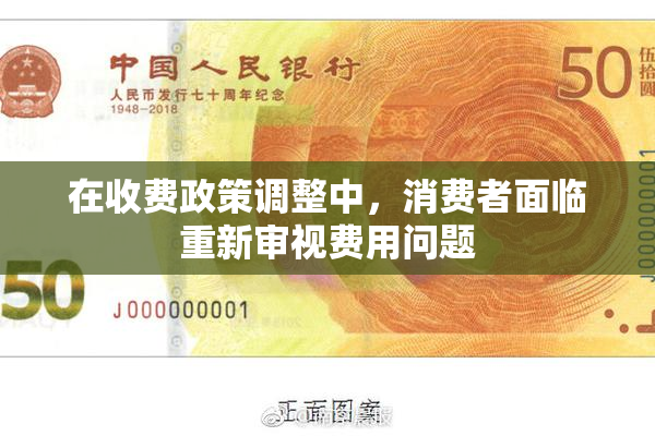 在收费政策调整中，消费者面临重新审视费用问题