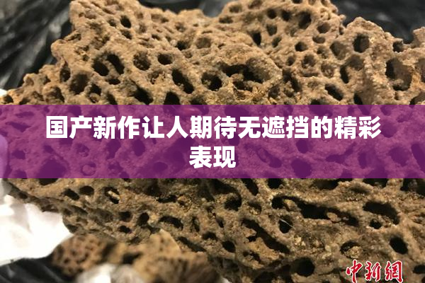 国产新作让人期待无遮挡的精彩表现