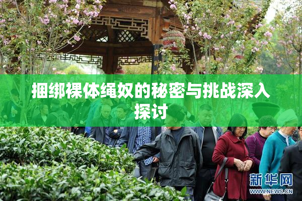 捆绑裸体绳奴的秘密与挑战深入探讨