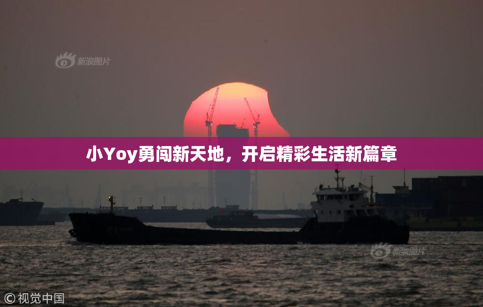 小Yoy勇闯新天地，开启精彩生活新篇章