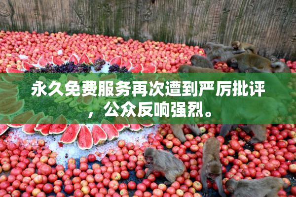 永久免费服务再次遭到严厉批评，公众反响强烈。