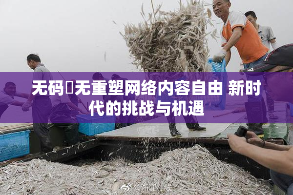 无码囯无重塑网络内容自由 新时代的挑战与机遇
