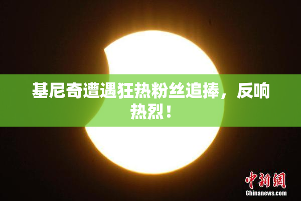 基尼奇遭遇狂热粉丝追捧，反响热烈！