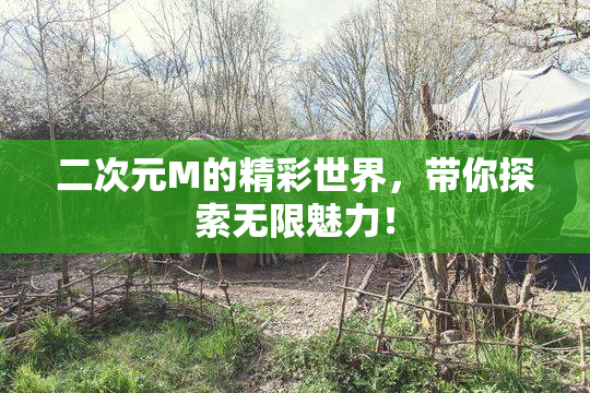 二次元M的精彩世界，带你探索无限魅力！