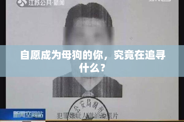 自愿成为母狗的你，究竟在追寻什么？