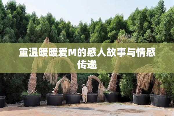 重温暖暖爱M的感人故事与情感传递