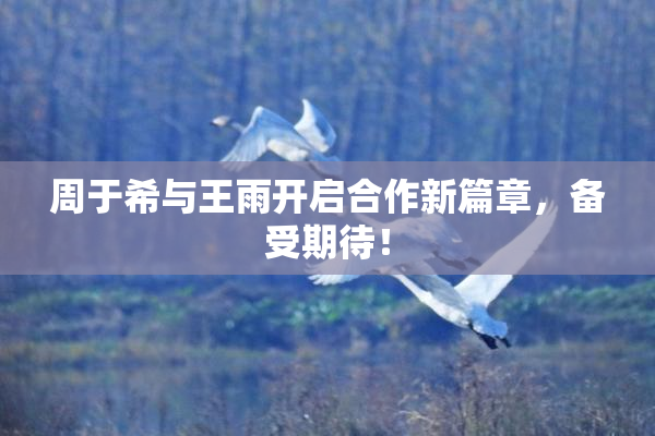 周于希与王雨开启合作新篇章，备受期待！