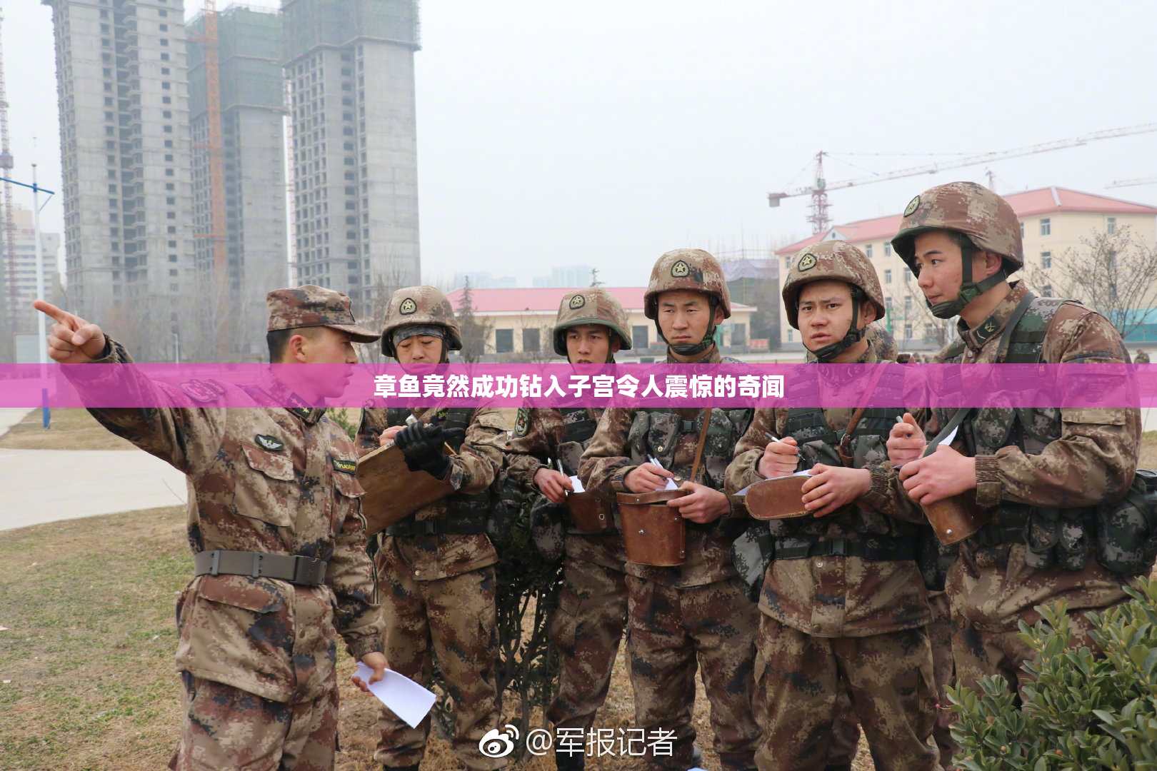 章鱼竟然成功钻入子宫令人震惊的奇闻