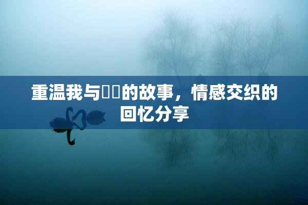 重温我与妺妺的故事，情感交织的回忆分享