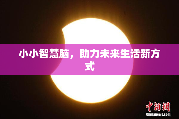 小小智慧脑，助力未来生活新方式