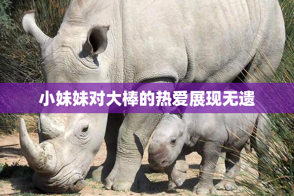 小妹妹对大棒的热爱展现无遗