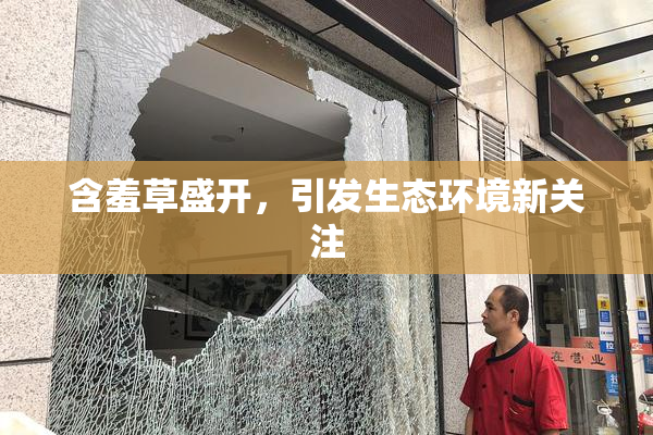 含羞草盛开，引发生态环境新关注